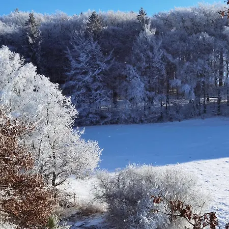 Διαμέρισμα Au Centre D'une Historique. *
